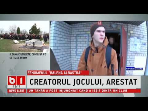 CE A PATIT CREATORUL JOCULUI BALENA ALBASTRA