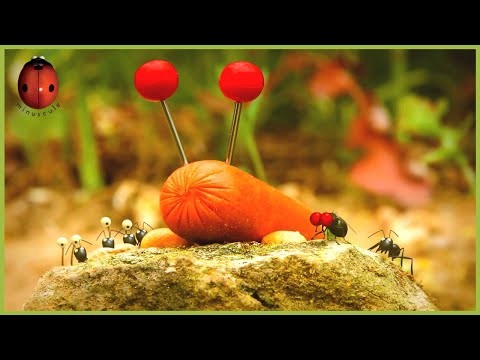 Sausage Predator | Minuscule 🍃 40' Compilation