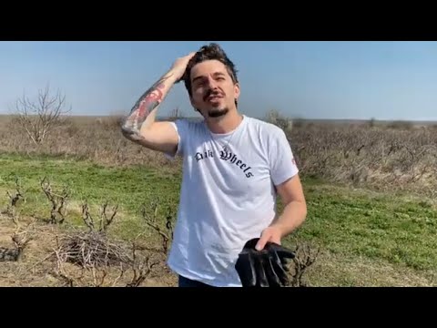 Jukebox la țară - Saele, Saelele, nestrânse-ți sunt paele! (VLOG)