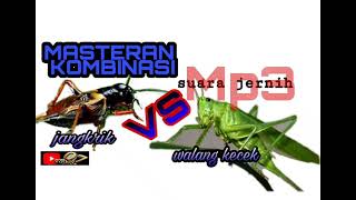 Download lagu #MASTERAN #KICAUMANIA MASTERAN KOMBINASI JERNIH BANGET. SUARA JANGKRIK VS WALANG KECEK mp3 Download lagu #MASTERAN #KICAUMANIA MASTERAN KOMBINASI JERNIH BANGET. SUARA JANGKRIK VS WALANG KECEK mp3