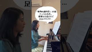 Download lagu 白鳥(サンサーンス )簡単ピアノアレンジ　#ピアノ mp3