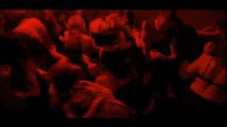 woven hand - white bird montage from blush