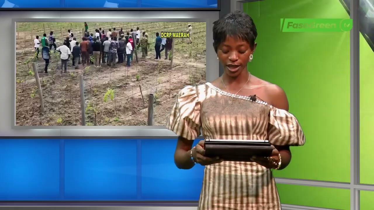 Production viticole : Le ministre d’État Ismaël SOMBIE visite un site d’expérimentation à Bagré