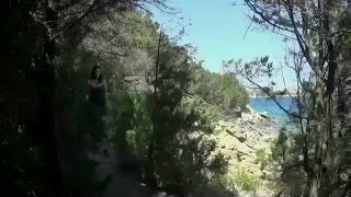 Alby - Life makes no sense