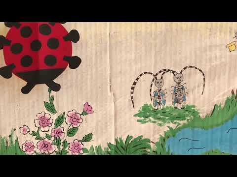 Hétpettyes katicabogárka