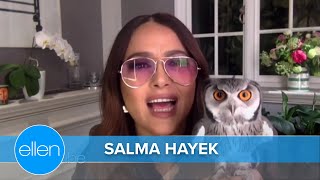 Salma Hayek&#39;s Pet Owl Coughed Up a Hairball on Harry Styles