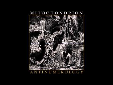 Mitochondrion - Insummation