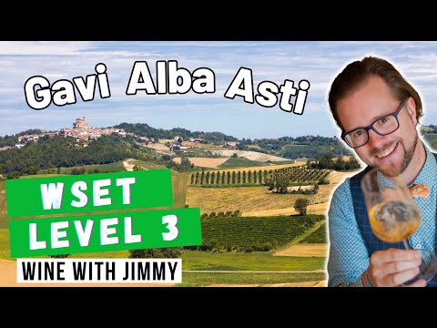 Piemonte Wines Explained 🍷 | Gavi, Asti & Alba for WSET Level 3