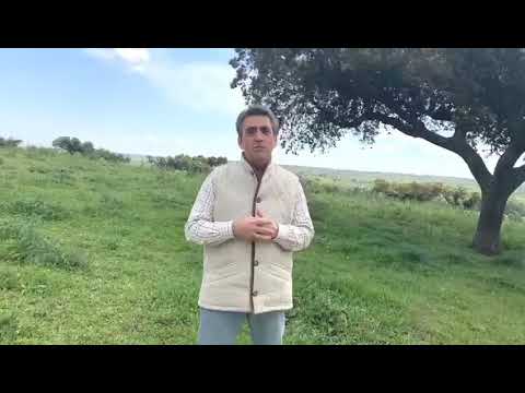 VICTORINOS EN LA FINCA MONTEVIEJO