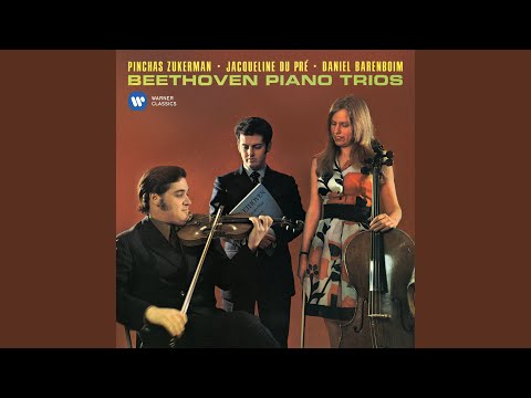 Piano Trio No. 1 in E-Flat Major, Op. 1 No. 1: IV. Finale. Presto
