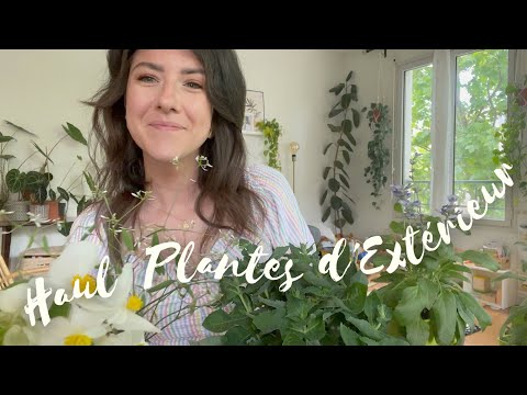 , title : 'Haul Plantes d’Extérieur - Encore un !!'