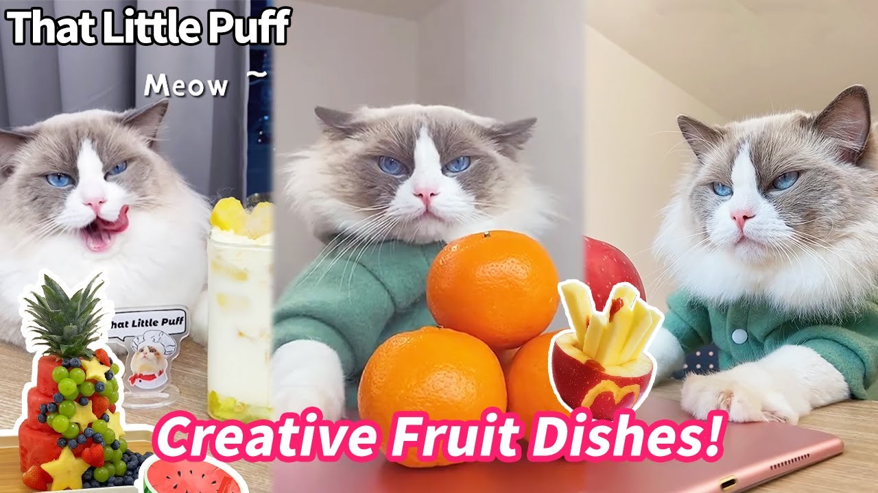 Creative Fruit Dishes! | That Little Puff