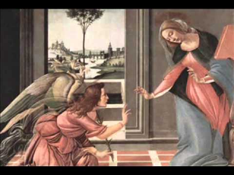 Flor primorosa - Toca de Assis