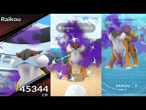 Il primo raid di Raikou Shadow Shiny in assoluto in Pokémon Go