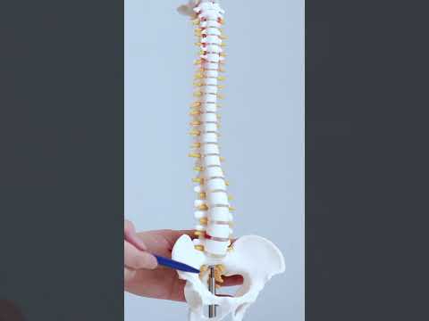 Advanced Spine Care and Customized Treatments at CICOVE – Patient-First Approach in Mexico City, Mexico