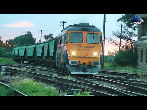 LDE2100 609 005-7 & Marfar RELOC MARFĂ Freight Train in Gara Episcopia Bihor Station - 10 June 2020