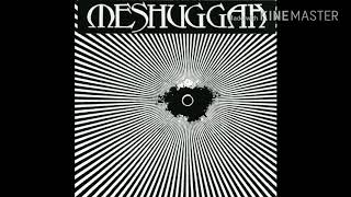 Meshuggah - Debt of Nature