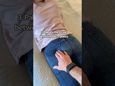 Anatomie & Behandlungswissen Videos – Interaktives Nachschlagewerk für Physio, Massage, Therapie 48 Sciatic Nerve Palpation | Sciatica Treatment