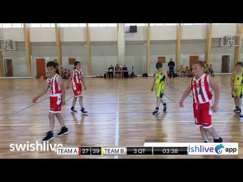 U11 8.forduló (Telki) BKG PRIMA Akadémia U11 SZIGET - BKG Veresegyház