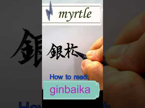 ピートマートル 植物