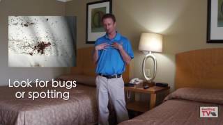 Traveling bed bug free