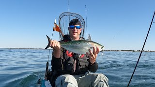 Back Into The Big Blackfish And A Bite That Scared Me To Death