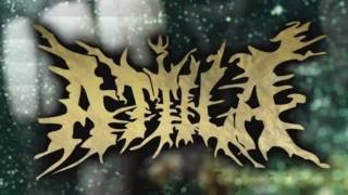 Attila-Bulletproof (Audio)