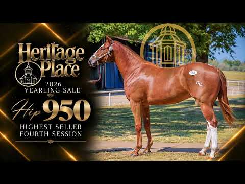 2026 HERITAGE PLACE YEARLING SALE RECAP — SESSION 4 (VIDEO)