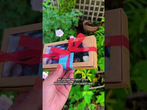 4 atractivos en un paseo a Isla de Maipo