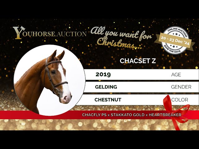 Chacset Z