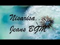 ︎𝐍𝐢𝐬𝐚𝐫𝐢𝐬𝐚 Jeans Movie BGM 5 1 Surround Sound