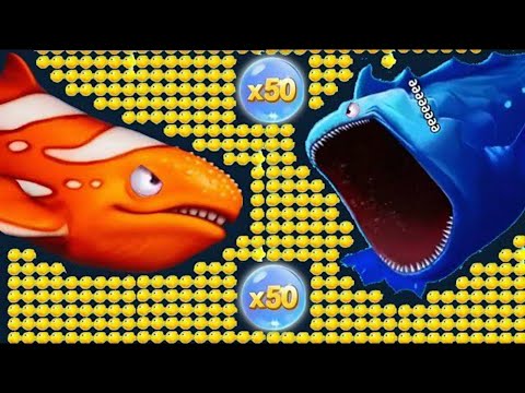 Fishdom vs Hungry Fish Which is Better for Casual Gamers?