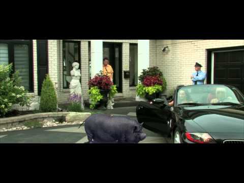 download lagu mp3 mp4 Lemon Crackers Recipe, download lagu Lemon Crackers Recipe gratis, unduh video klip Lemon Crackers Recipe