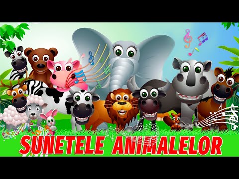 Sunetele animalelor | Video în limba română pentru copii | Animal Sounds for Kids | VIO MINI CLUB