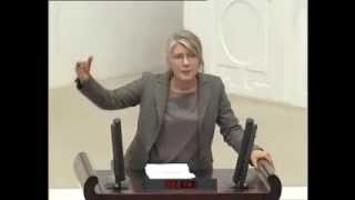 preview picture of video 'Emine Ülker Tarhan'ın HSYK Kanun Teklifi hakkında 22.01.2014 tarihli Genel Kurul konusması....'
