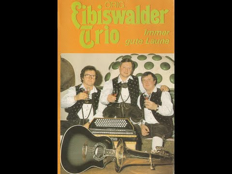 Eibiswalder Trio  Das Höllerhansl Lied   1987