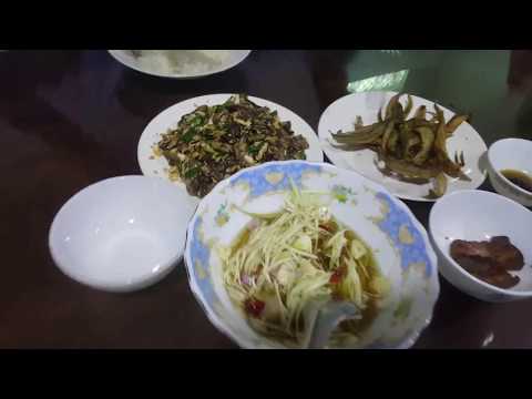 Fried Egg plants With Chopped Pork - Cambodian Family Lunch - Asian Food Video Video