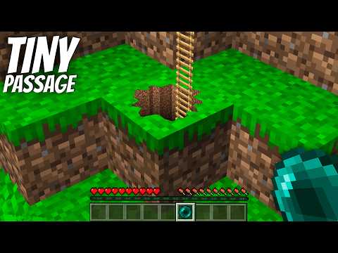 I found a TINY SECRET PASSAGE in Minecraft !
