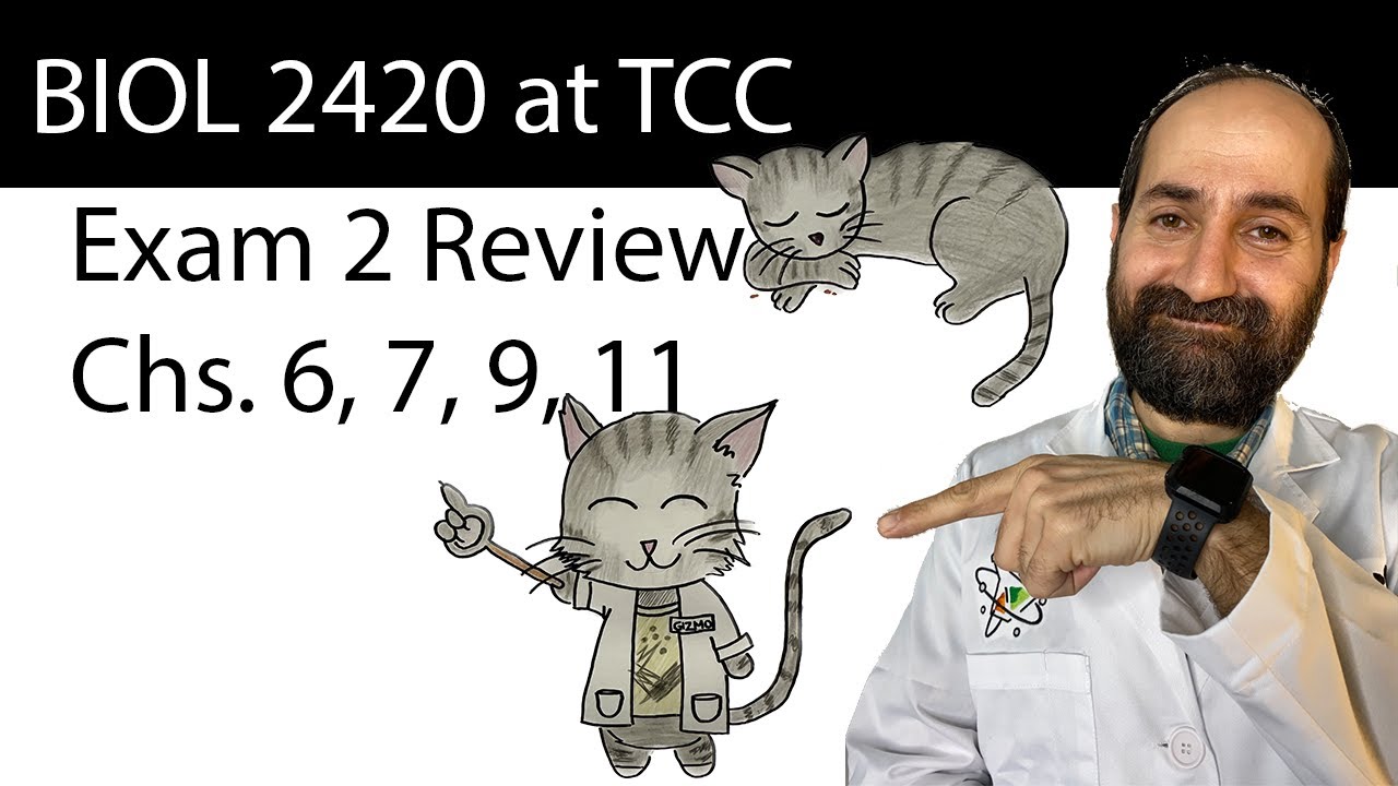 BIOL 2420 Exam 2 Review at TCC