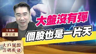 大盤沒有彈 個股也是一片天 (圖)
