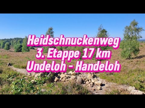 Heidschnuckenweg 3. Etappe (17 km) von Undeloh nach Handeloh