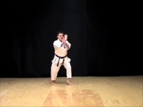 Chinto Kata of Isshinryu-Ryu Karate Michael Calandra