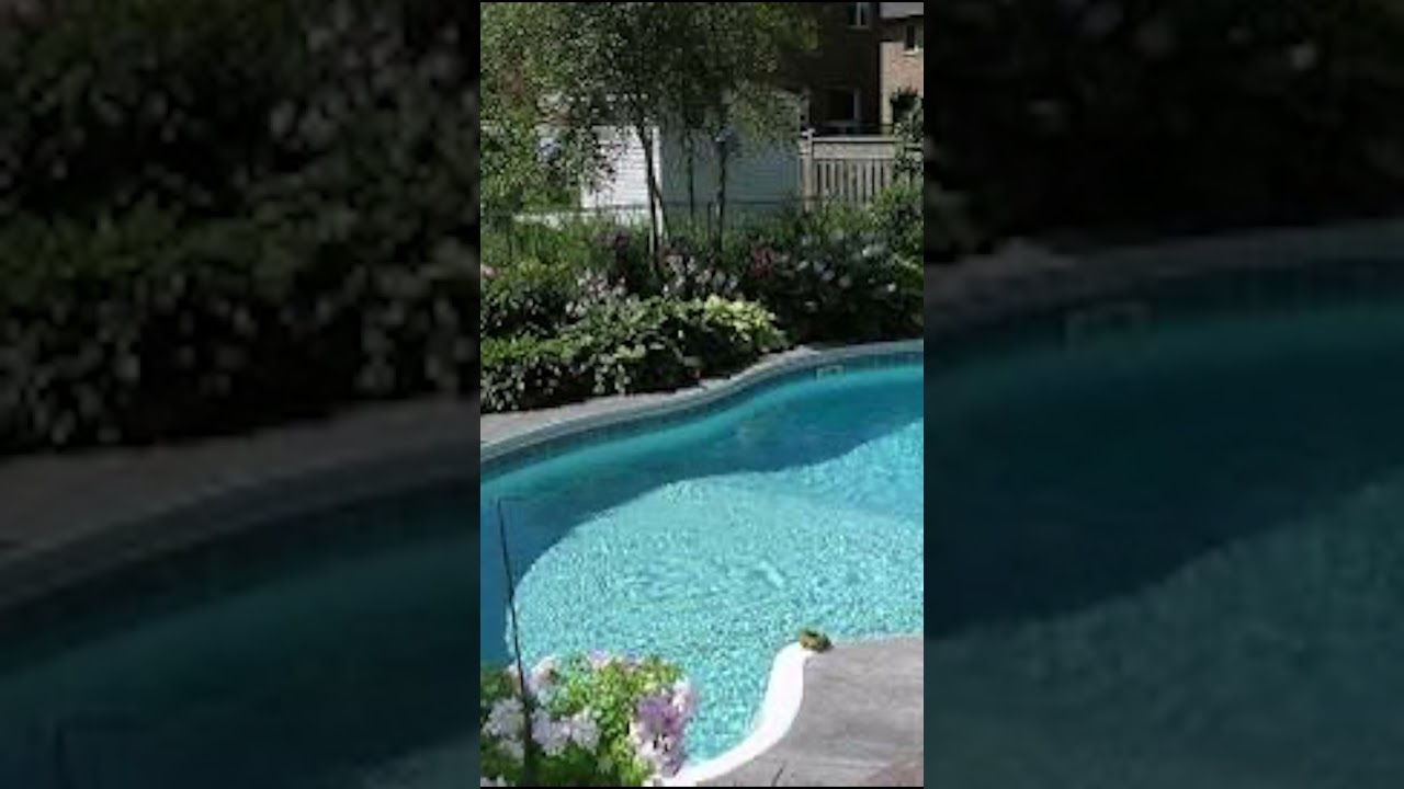 (True story) full story in comments