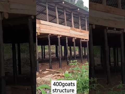, title : '400goats structure outside looks | Goat Farming Business'