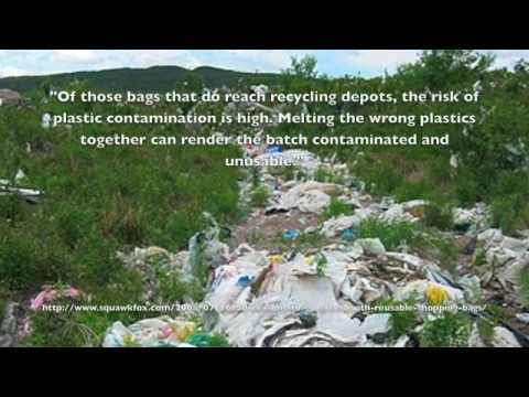 Plastic Bag Pollution