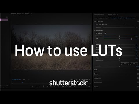 Color Grading 101: How to Use LUTs | Video Editing Tutorials