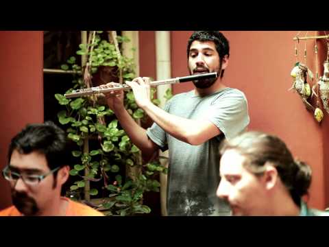 LaVitrola.cl: 12 Tribus - Saltitos