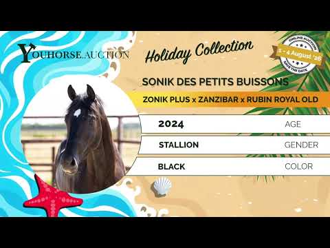 youtube preview