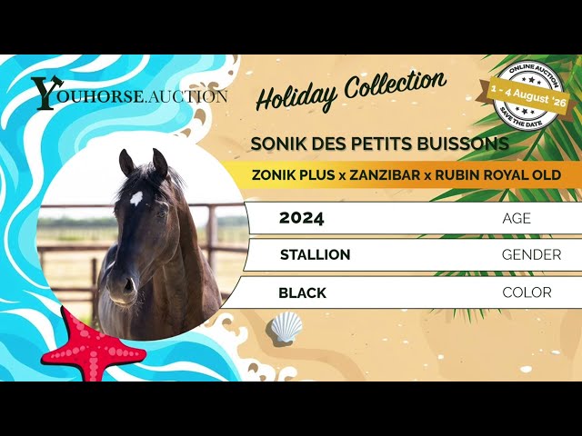 Sonik des Petits Buissons