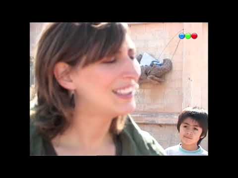 La soja transgénica